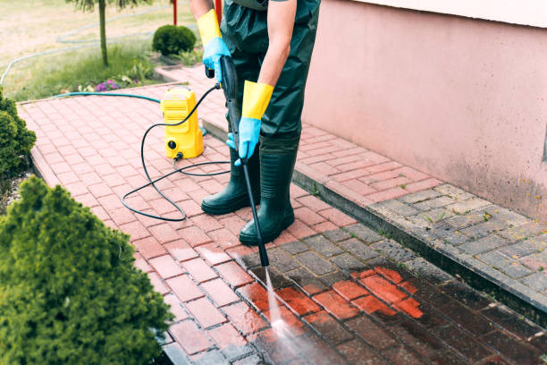 Best Pressure Washing Siding  in Rock Rapids, IA