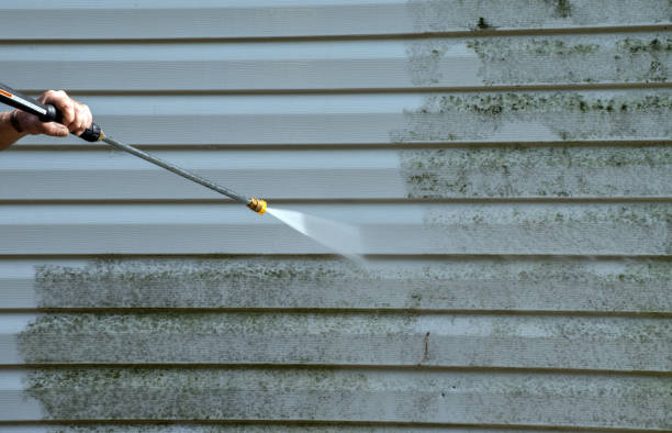 Best House Pressure Washing  in Rock Rapids, IA