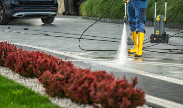 Best Pressure Washing Contractors  in Rock Rapids, IA
