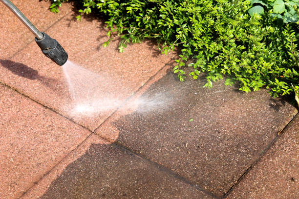 Best Pressure Washing Near Me  in Rock Rapids, IA